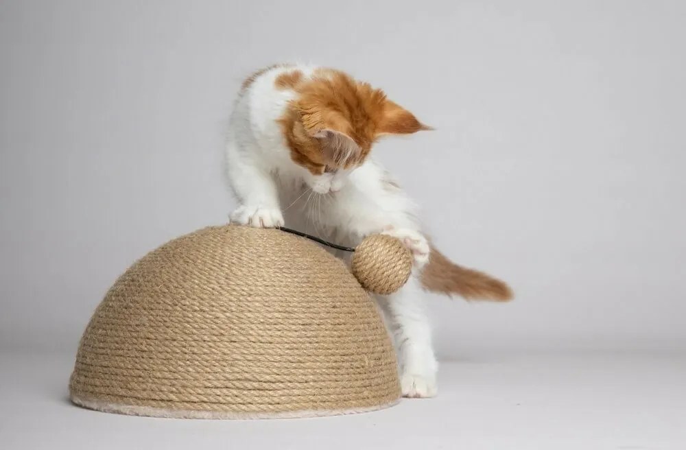 Flamingo Veda Škrabadlo pre mačky, 26 x 14 x 26 cm