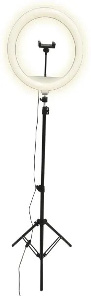 LED Stmievateľná lampa so statívom a držiakom na vlogovanie LED/15W/5V 2700-6500K