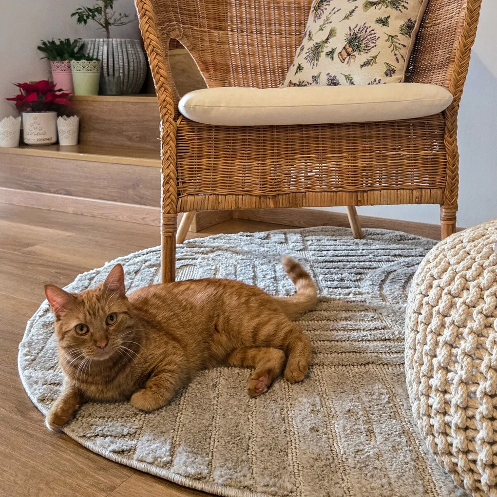 Kusový koberec Art 1121 Silver kruh, 160x160 (priemer) kruh, šedá, obývacia izba, Ayyildiz