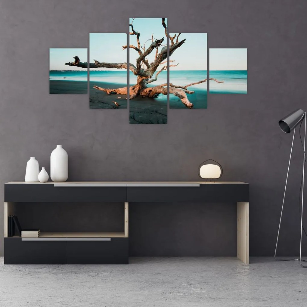 Obraz - Vyplavenie na pláži (125x70 cm), 40 ďalších rozmerov