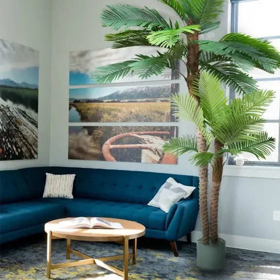 Palm Arenga 250cm