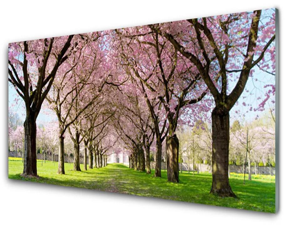 Skleneny obraz Chodník stromy príroda 120x60 cm