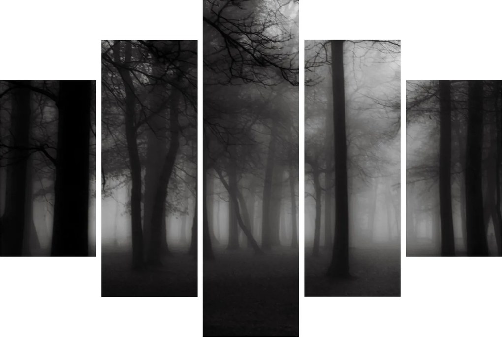Obraz - Les v hmle (150x105 cm)