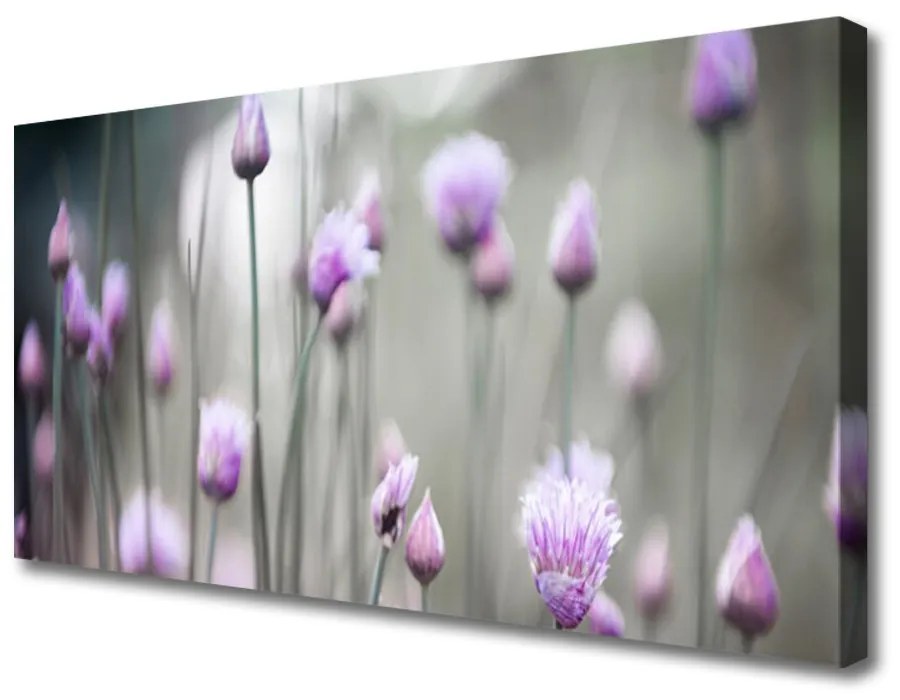 Obraz Canvas Poľné kvety lúka príroda 100x50 cm