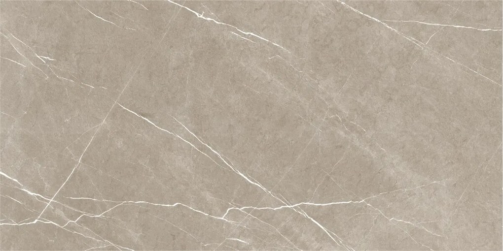 Dlažba Eternal Taupe Pulido 60x120 R