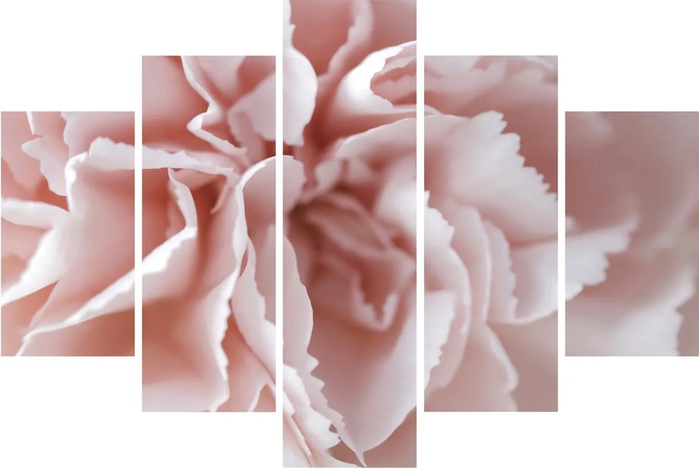Obraz - Detail kvetu (150x105 cm)