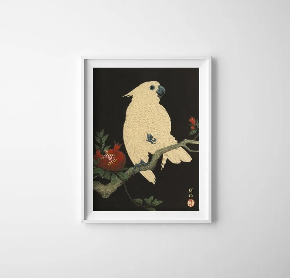Poster Papagáj od Ohara Koson