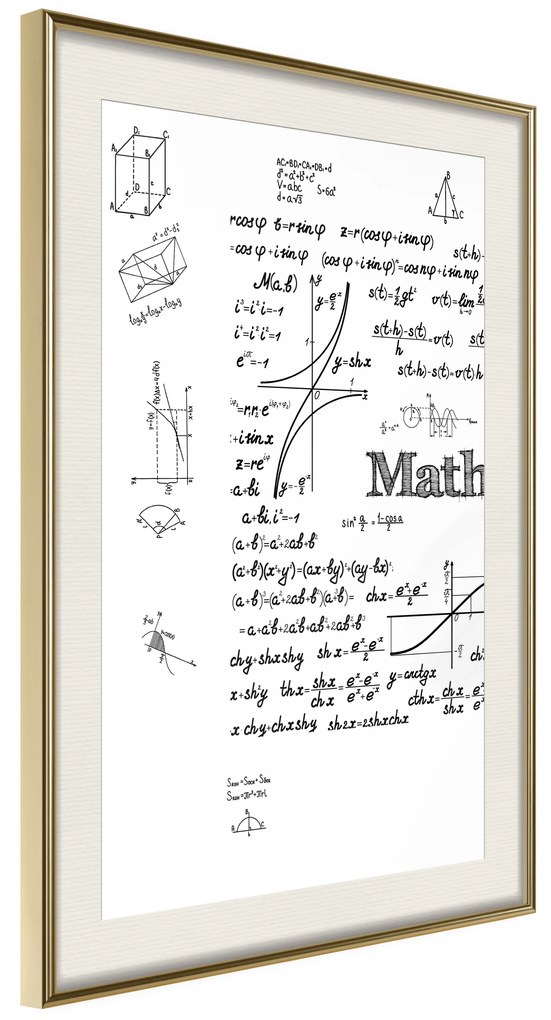 Artgeist Plagát - Math [Poster] Veľkosť: 30x45, Verzia: Zlatý rám