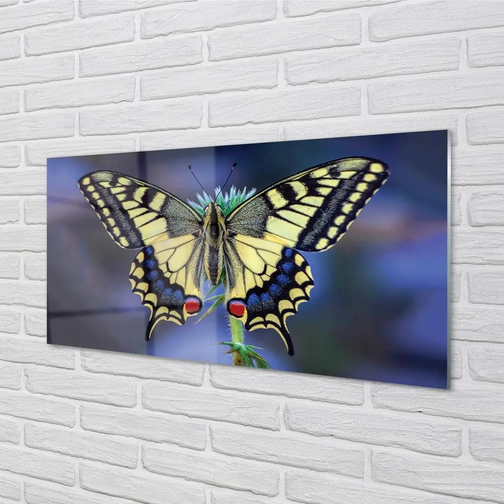 Sklenený obraz Motýľ na kvetine 120x60 cm