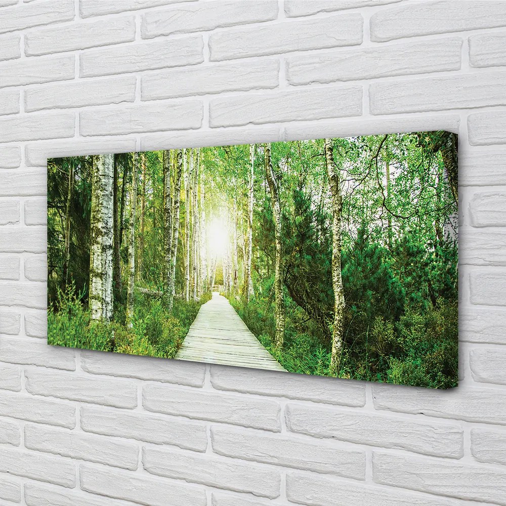 Obraz canvas Breza lesná cesta 125x50 cm
