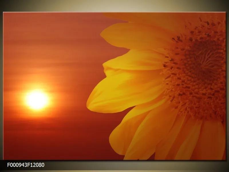 Obraz na plátne Kvet v západu slnka, Obdĺžnik 120x80cm 87,92 €