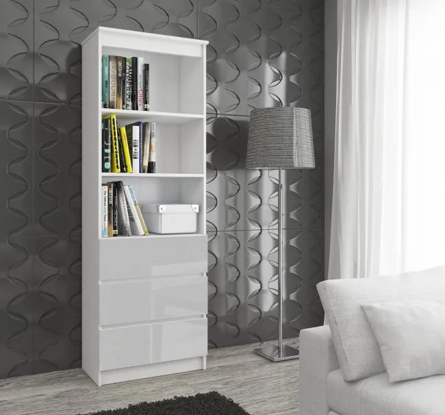 Regál R60 3SZ 2P CLP biely / metalický lesk