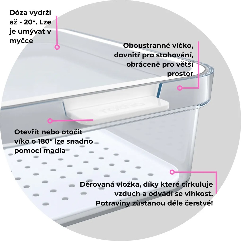 Rotho Organizér do chladničky s vekom a špeciálnou podložkou 2,6 l CAUMA