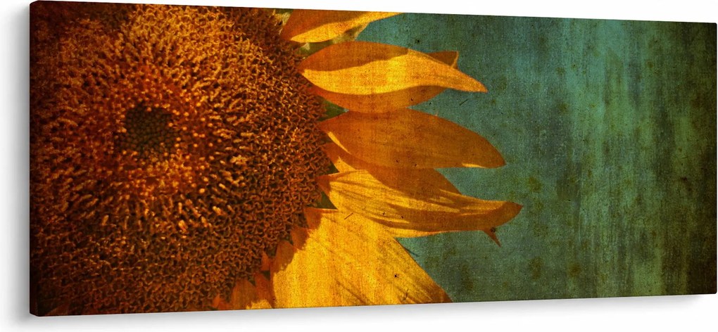 Obraz - Slnečnica (120x50 cm)