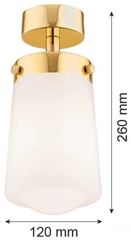 Argon 8005 - Prisadený luster PASADENA 1xE27/15W/230V zlatá/biela