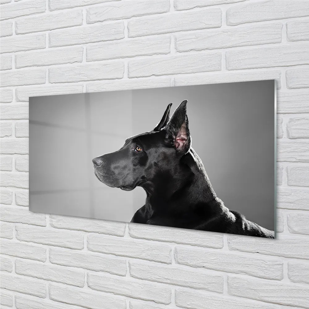 Obraz na akrylátovom skle Čierny pes 140x70 cm