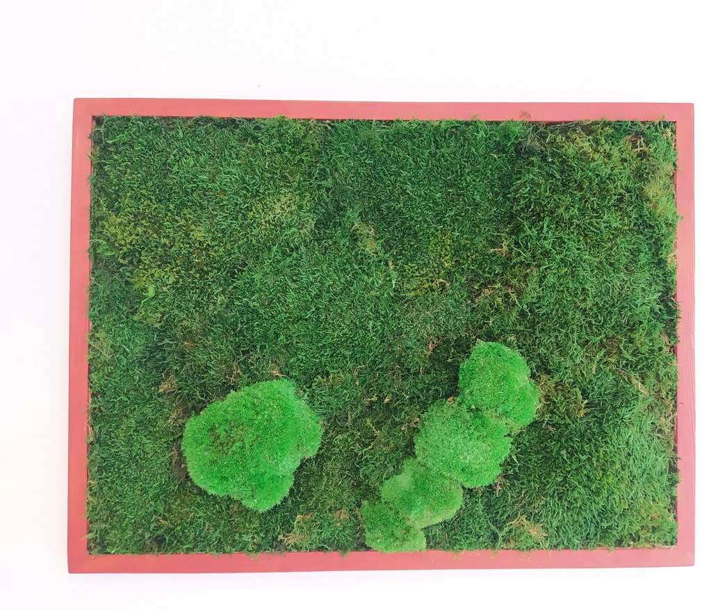 Machový obraz z plochého + kopčekového machu 50cm x 60cm