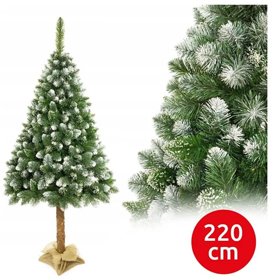 Vianočný stromček na kmeni 220 cm borovica
