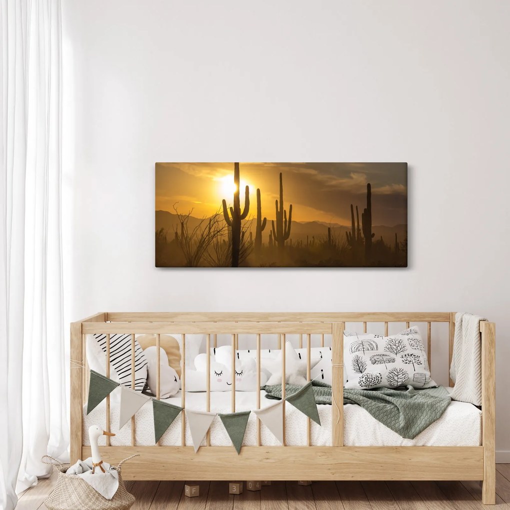Obraz - Kaktusy Saguaro (120x50 cm)