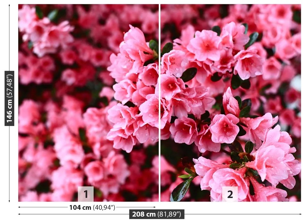 Fototapeta Vliesová Ružový rododendron 104x70 cm