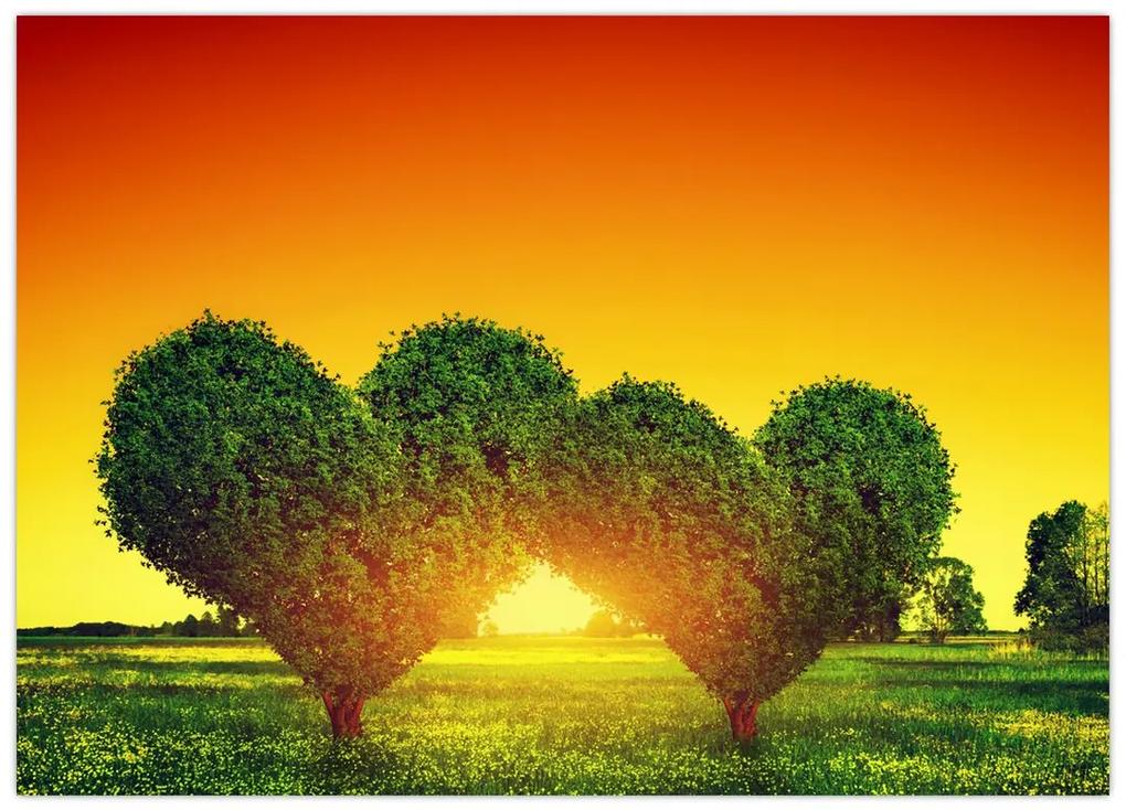 Sklenený obraz - Srdce v korunách stromov (70x50 cm)