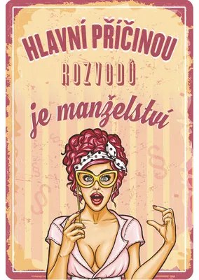 Plechová ceduľa 20x30 cm BU20035