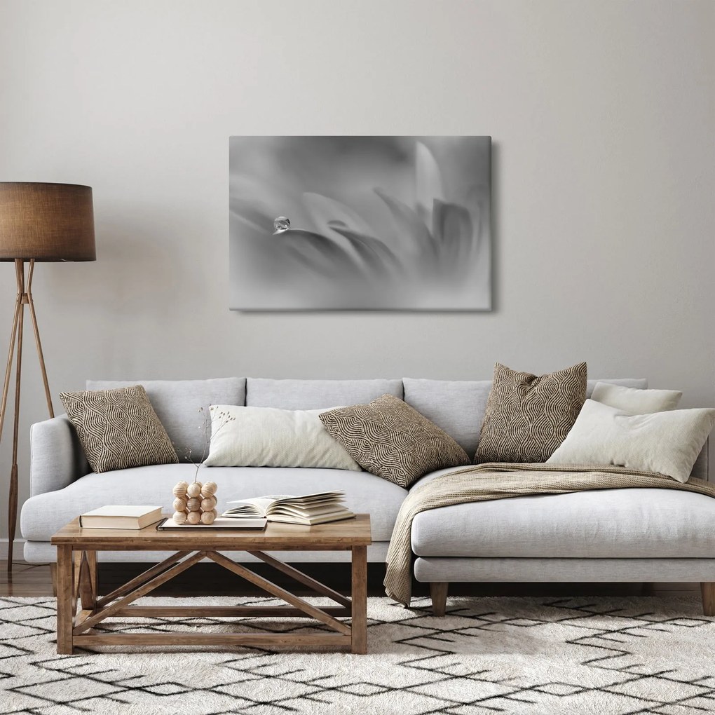 Obraz - Kvapka na kvete, čiernobiela (90x60 cm)