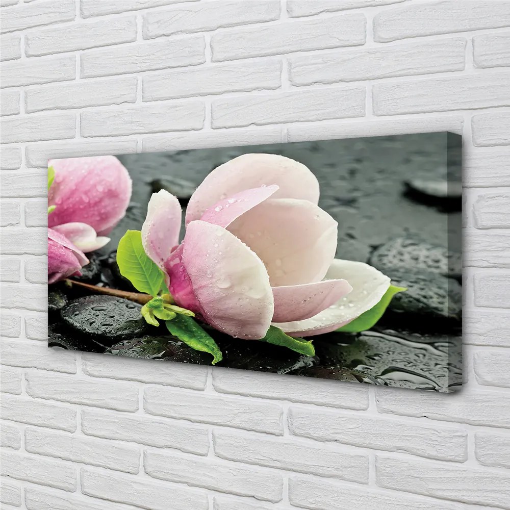 Obraz canvas Magnolia kamene 125x50 cm
