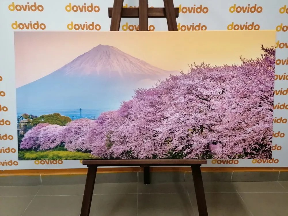 Obraz romantický pohľad na Japonsko