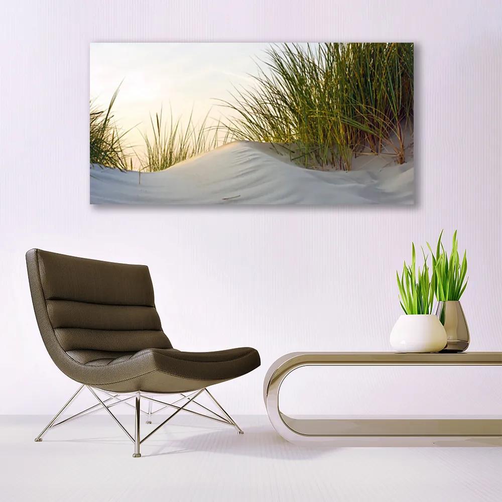 Obraz plexi Piesok tráva krajina 120x60 cm