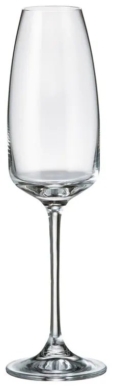 BOHEMIA ANSER POHÁR NA ŠAMPANSKÉ 290ML SADA 6 KS