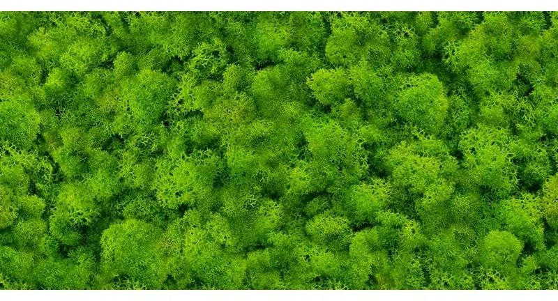 Dek. Pure Moss Glass 30/60