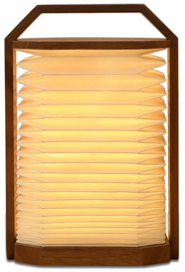 Biela/tmavo prírodná svetelná dekorácia na USB Origami – Gingko