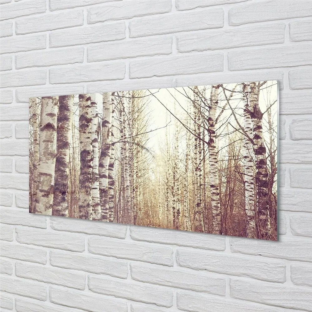 Sklenený obraz stromy 120x60 cm
