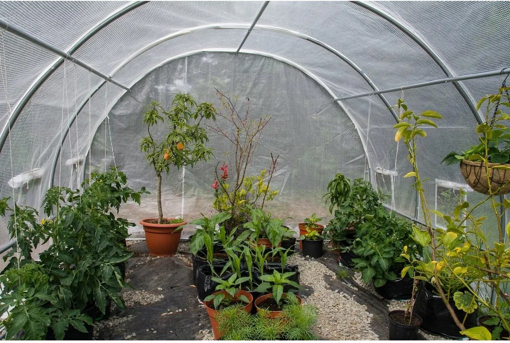 Skleník G21 200 x 400 x 200 cm, biely