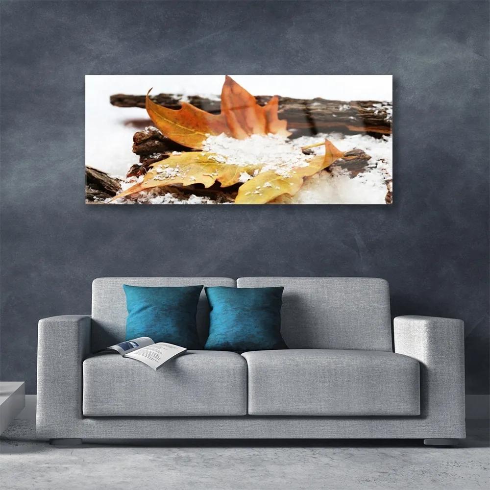 Obraz plexi List les jeseň príroda 125x50 cm