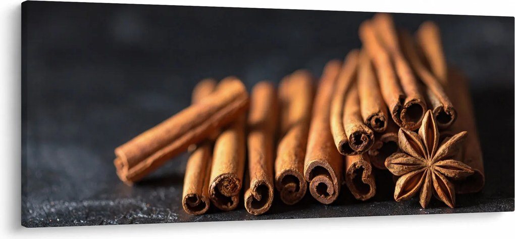 Obraz škorice (120x50 cm)