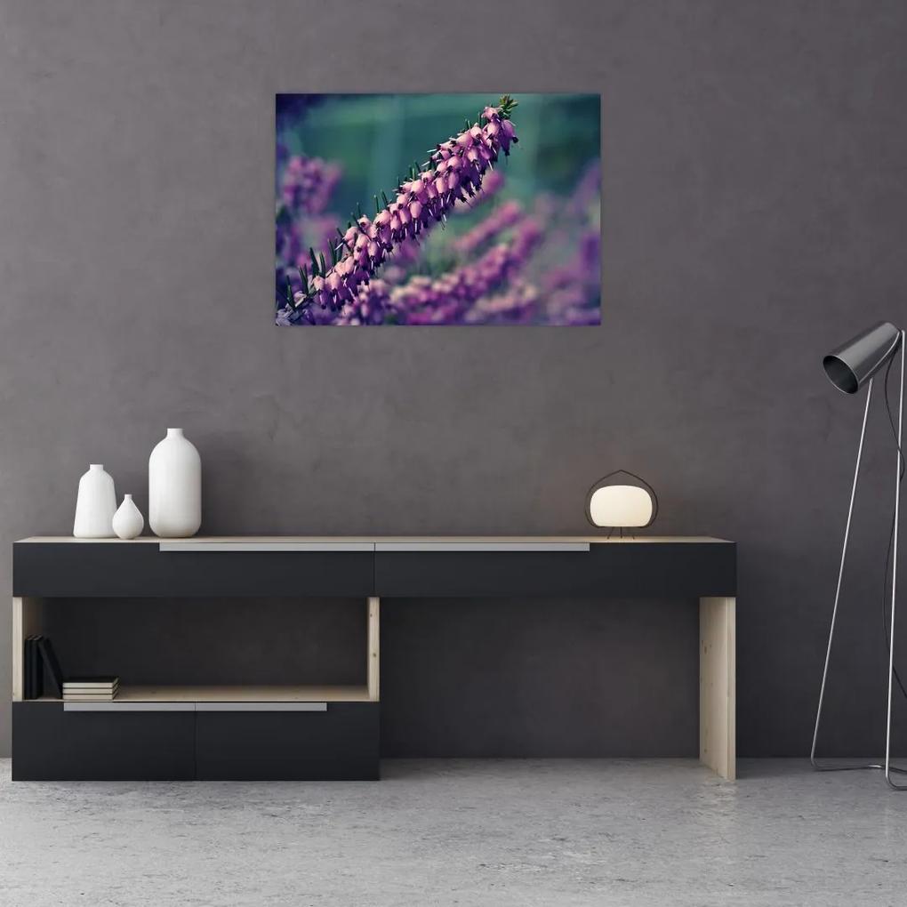 Sklenený obraz fialovej kvetiny (70x50 cm)