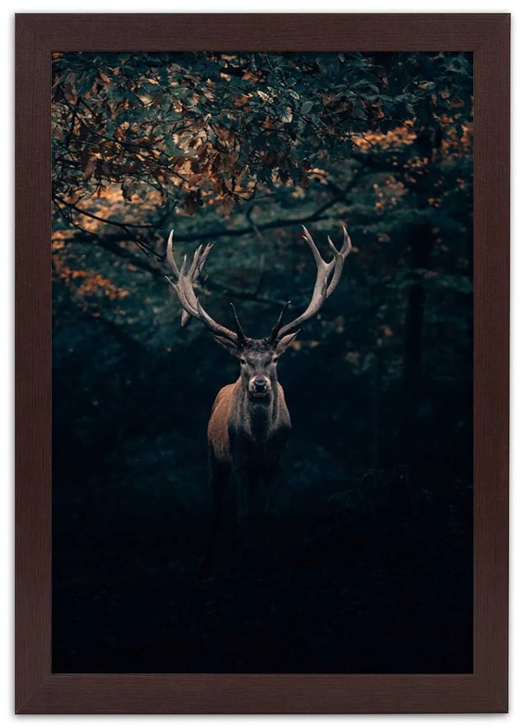 Gario Plagát Jeleň v kríkoch Farba rámu: Bez rámu, Rozmery: 40 x 60 cm