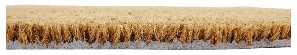 Rohožka z kokosového vlákna 40x60 cm Half Moon – Artsy Doormats