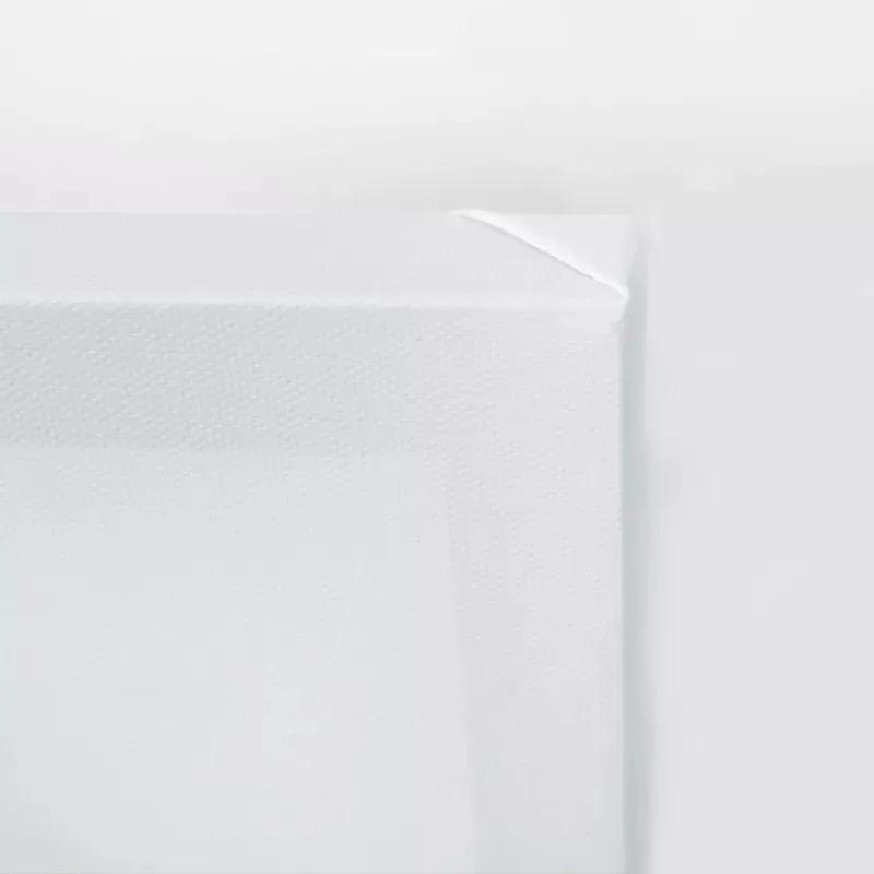 Obraz na plátně Bílá baletka tyrkysový - 70x100 cm