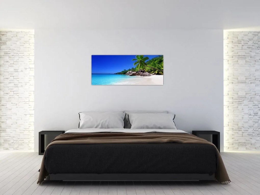 Obraz pláže na Praslin ostrove (120x50 cm)