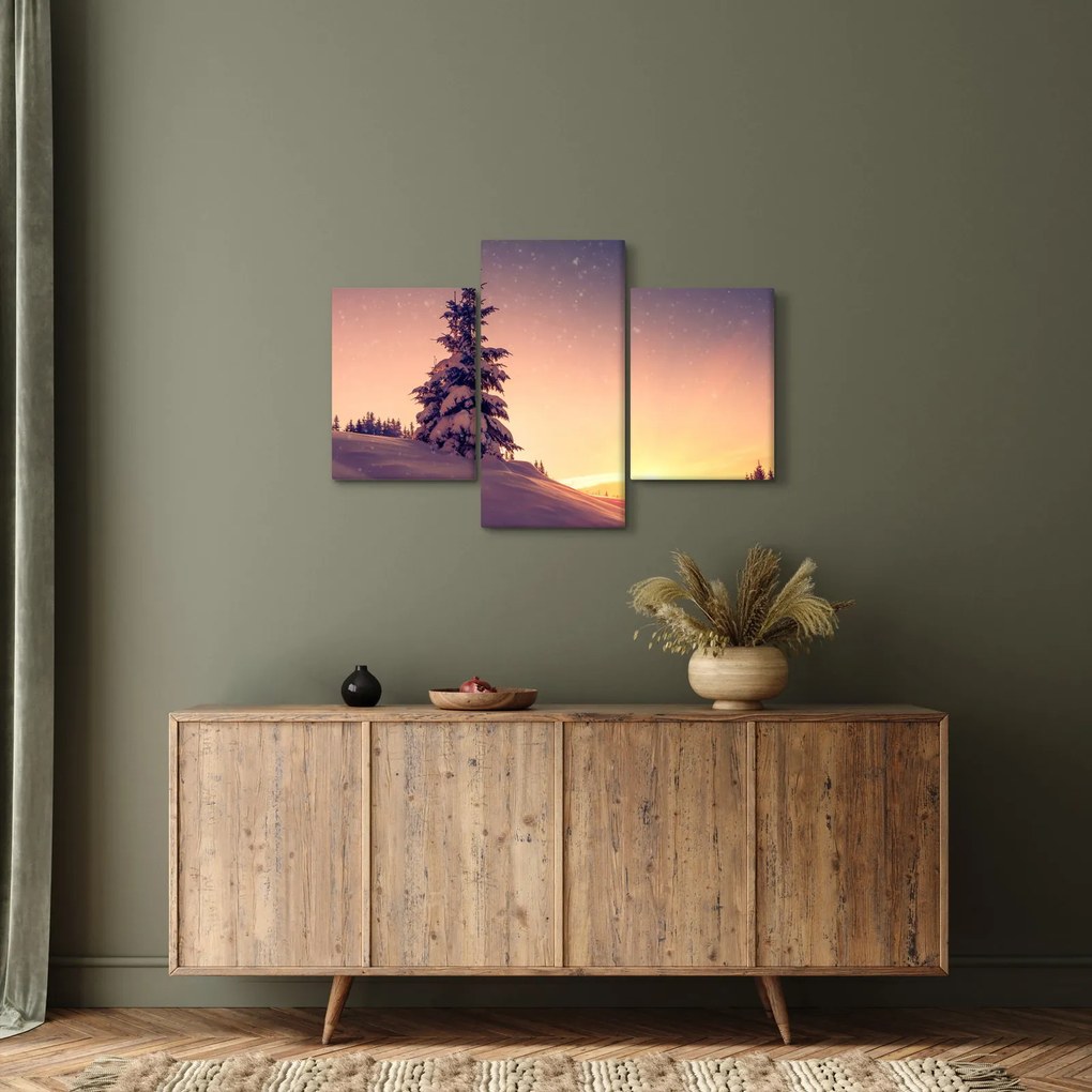 Obraz zasneženého stromu na lúke (90x60 cm)