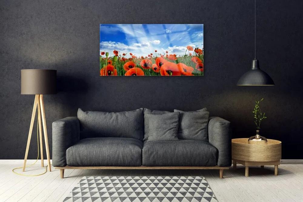 Skleneny obraz Lúka maky kvety 120x60 cm