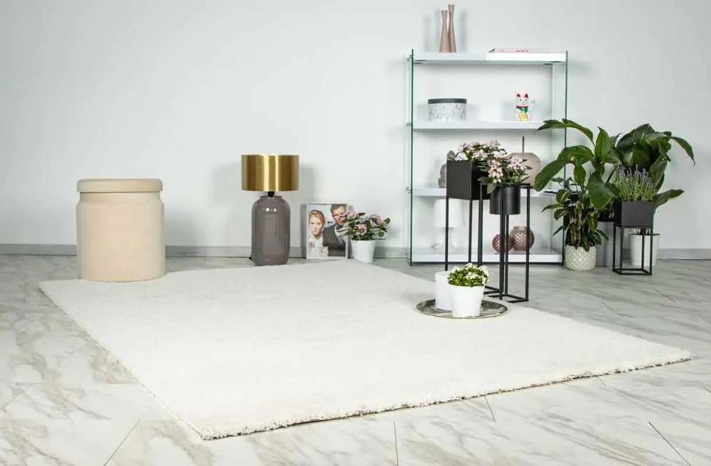 Lalee Kusový koberec Dream 500 Ivory Rozmer koberca: 160 x 230 cm