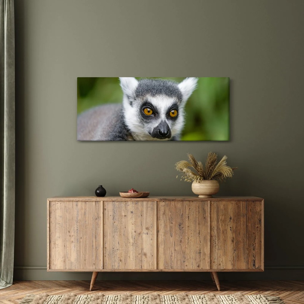 Obraz lemura (120x50 cm)