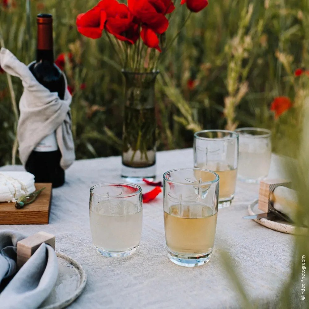 Pohár La Rochère Libellules, objem 350 ml