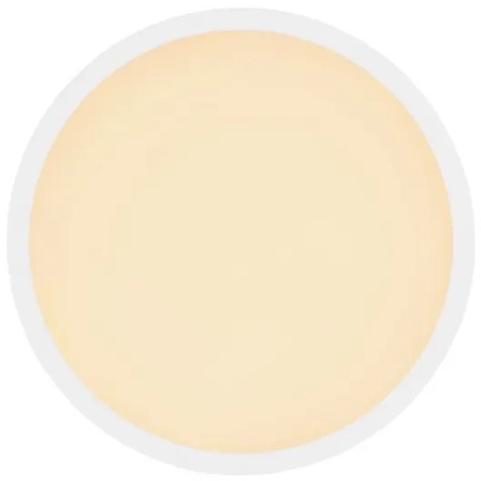 Globo 41562-24W - LED Kúpeľňové stropné svietidlo SAPANA LED/24W/230V IP44