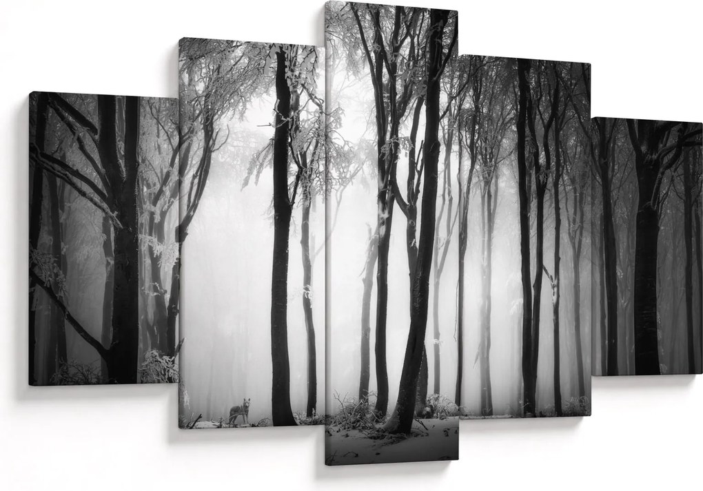 Obraz - Vlk v temnom lese (150x105 cm)