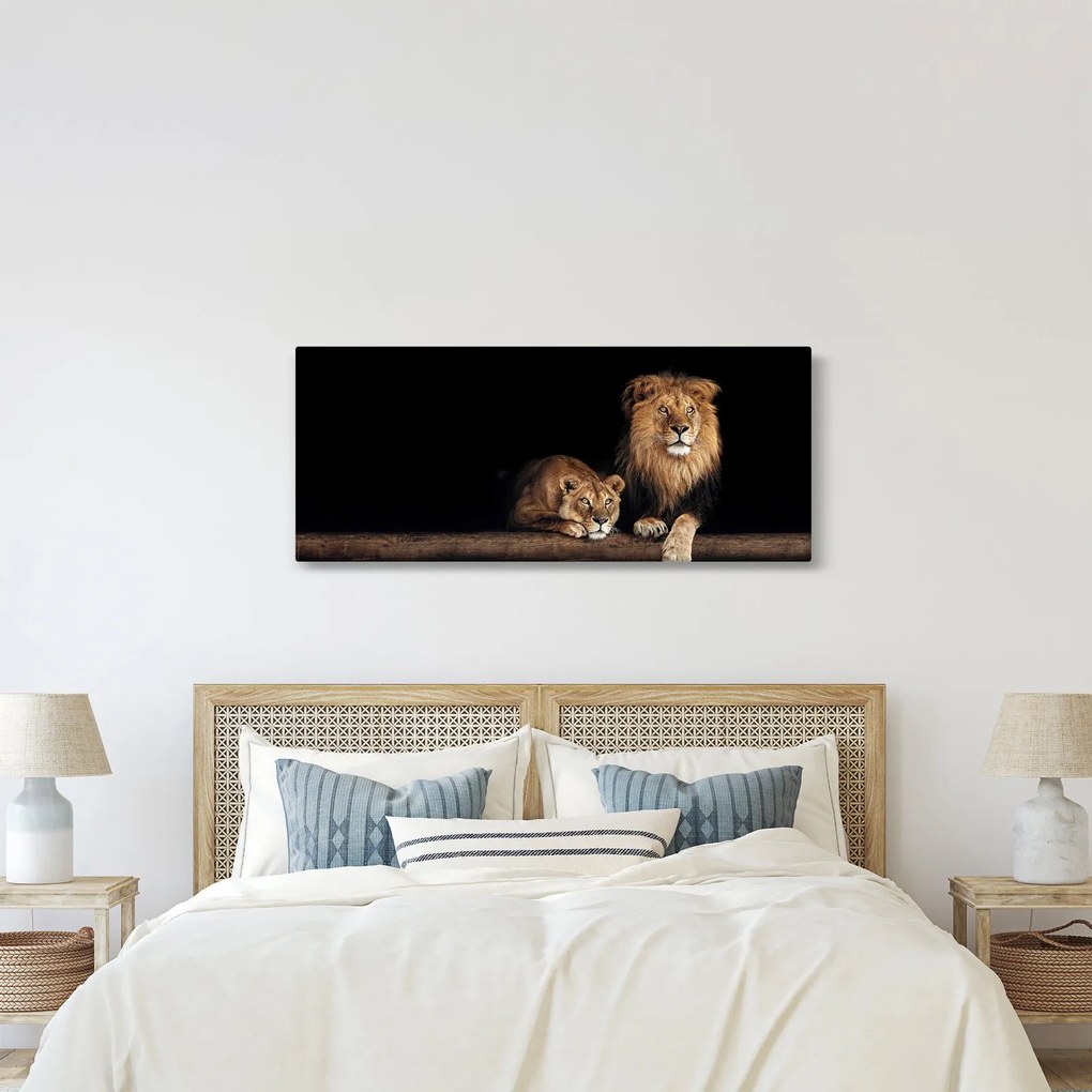 Obraz - Lev a levice (120x50 cm)